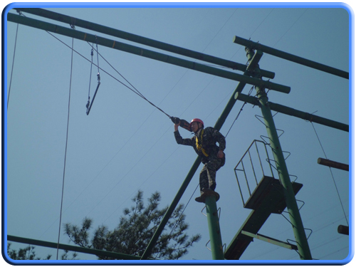 團(tuán)隊(duì)建設(shè)(圖3) 團(tuán)隊(duì)建設(shè)(圖3)